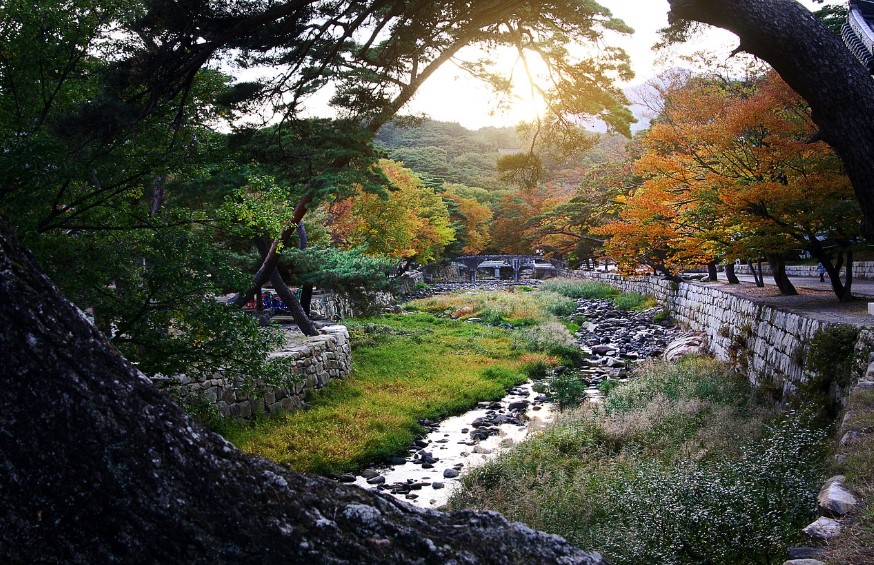 경치 좋은 둘레길 vs 접근성 좋은 둘레길 비교