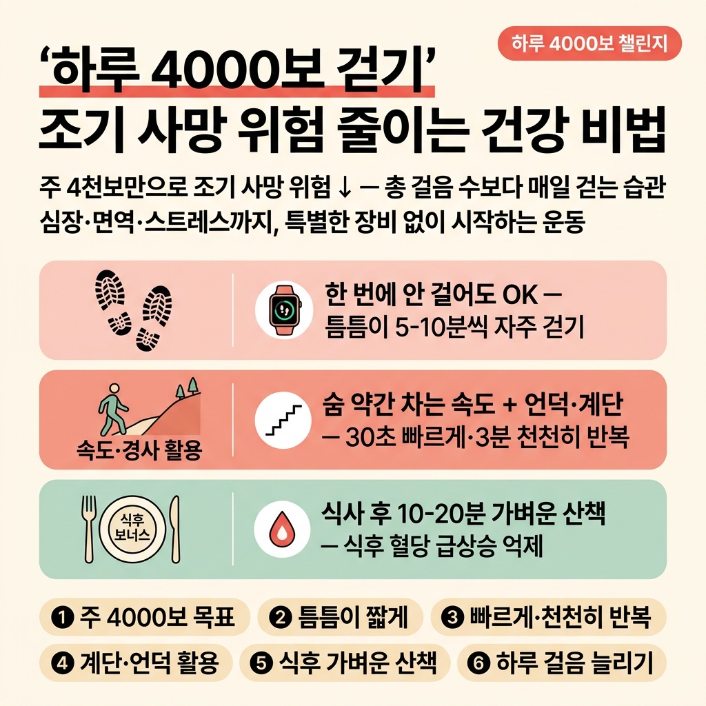 하루 4000보 걷기, 조기 사망 위험 줄이는 건강 비법