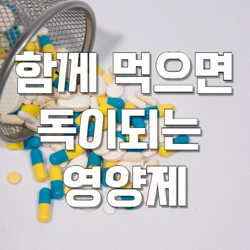 함께먹으면좋은영양제_안좋은영양제