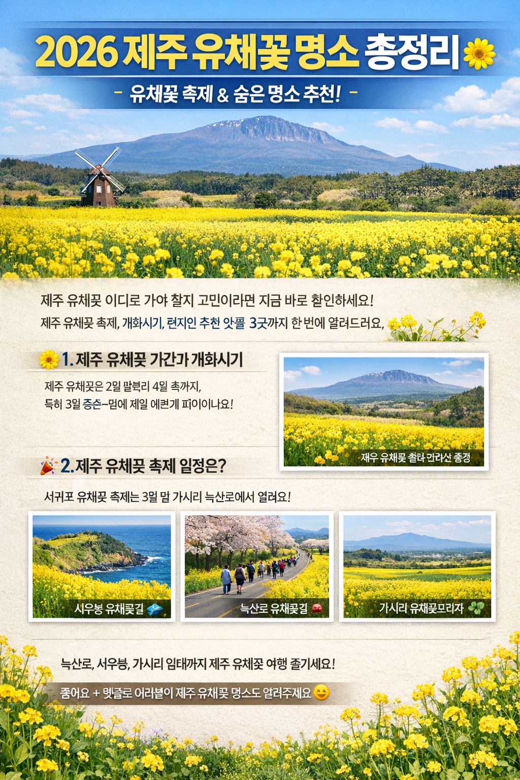 2026 제주 유채꽃 명소 총정리 ❘ 제주 유채꽃 축제, 제주 유채꽃 기간, 숨은 명소 3곳까지