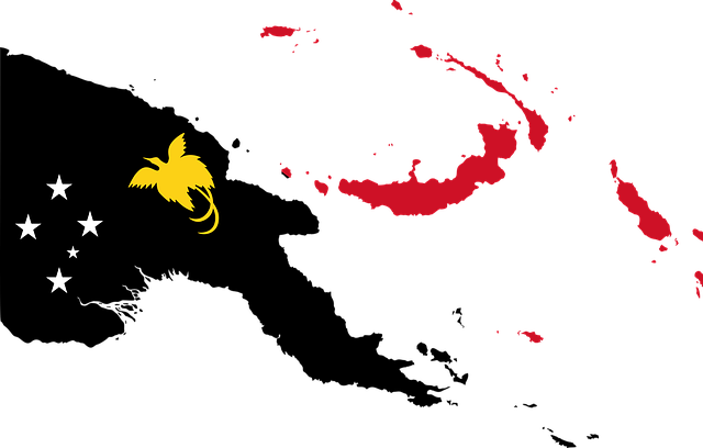 파푸아 뉴기니 하일랜드 (PAPUA NEW GUINEA HIGHLANDS) 커피빈 상세 분석