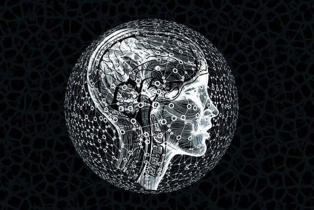 AI 추천 알고리즘이 사회적 편견을 강화하는 이유