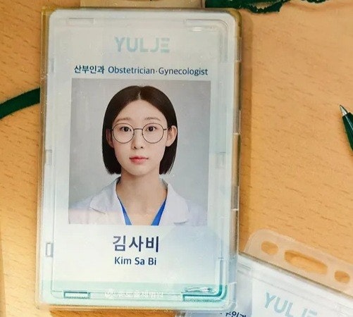 슬기로울 전공의생활