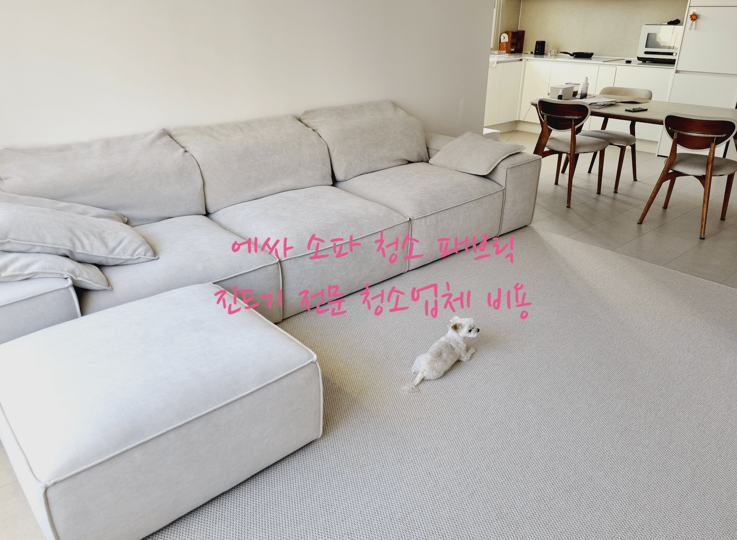 에싸 소파 청소