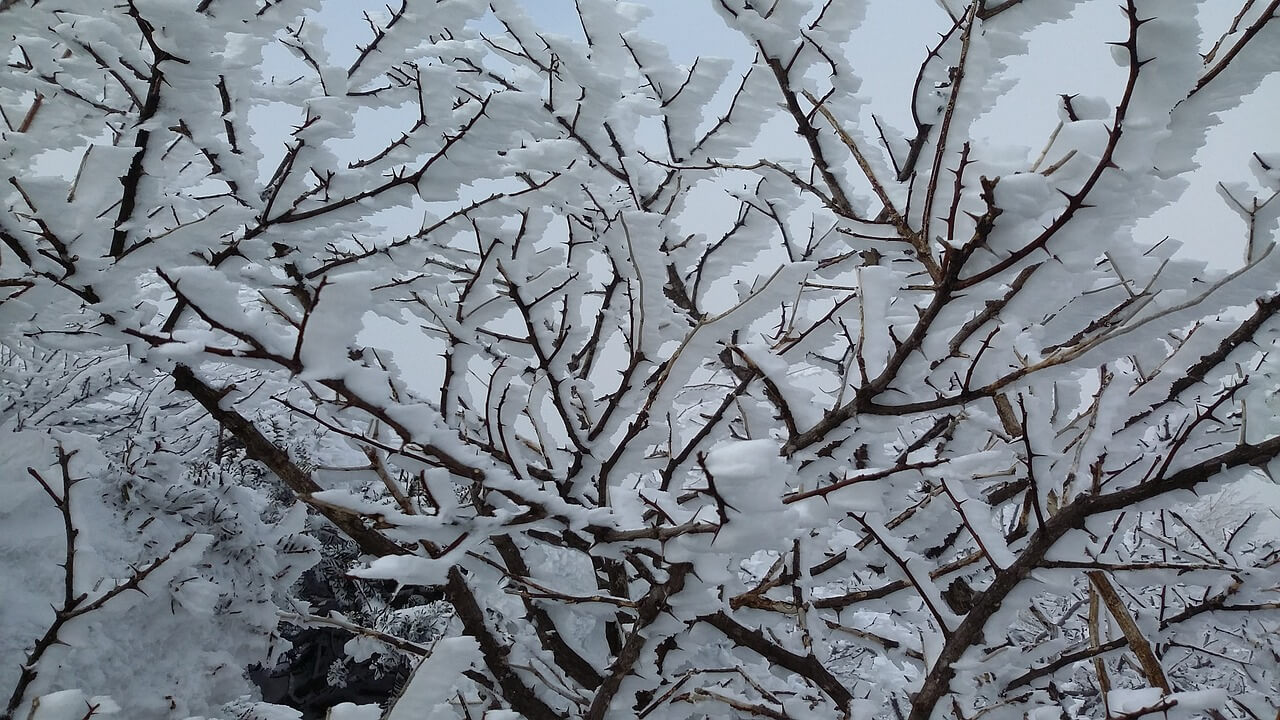 2025 양주 눈꽃축제 썰매장 예매방법