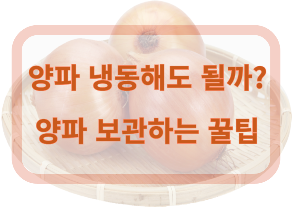 양파 냉동해도 될까?
