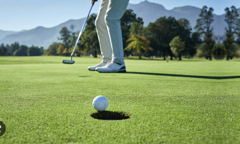 대중형골프장이용료