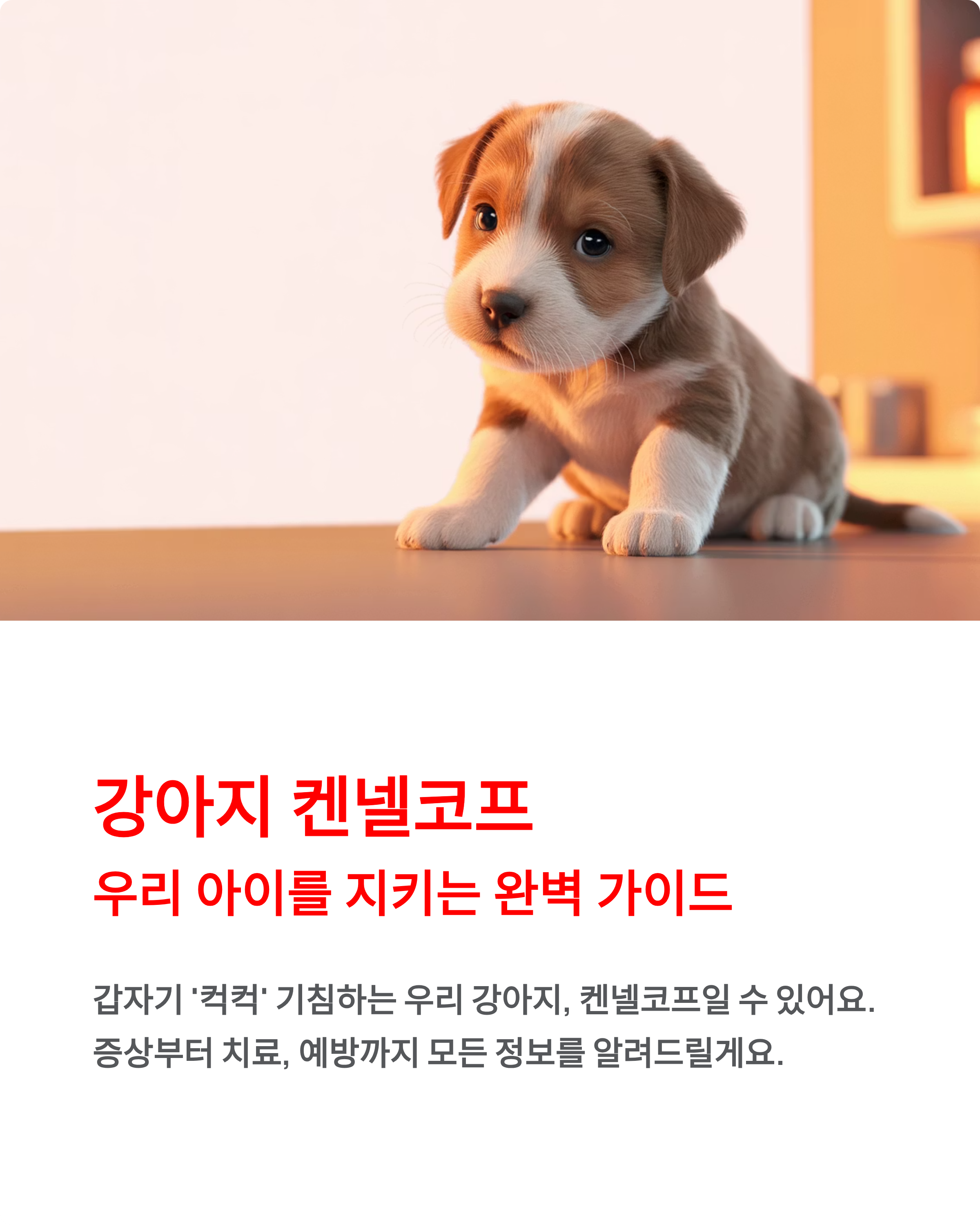 강아지 켄넬코프 증상과 치료 완벽 가이드 ❘ 우리 강아지 지키는 법