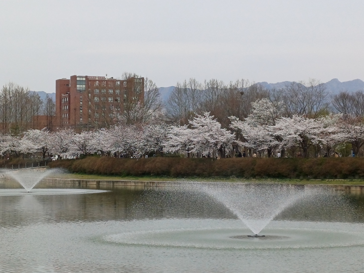 쌍암공원