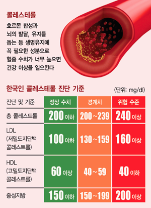 고지혈증 관련 콜레스테롤 정상 수치, 중성지방과 LDL 낮추는 방법