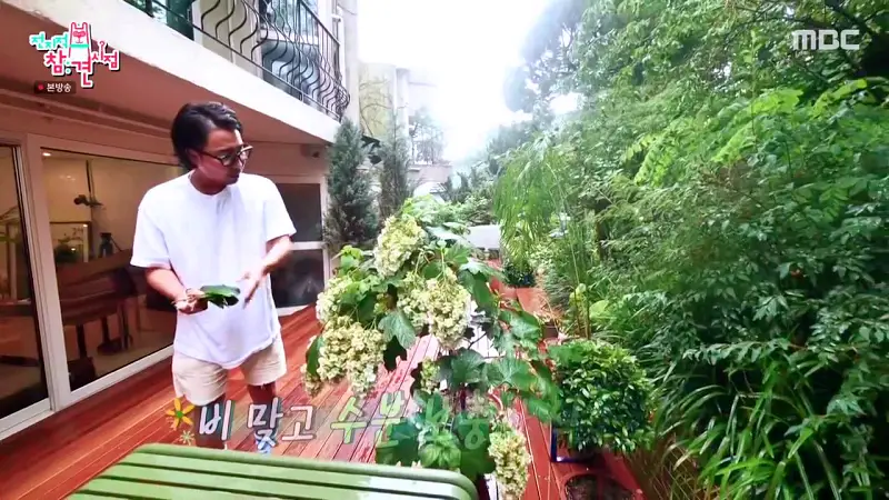 전참시 전지적참견시점 정재형 다니는 꽃집 관상수 식물 화훼 원예 농원 촬영한 곳 서초 내곡동 어디 추천 소개