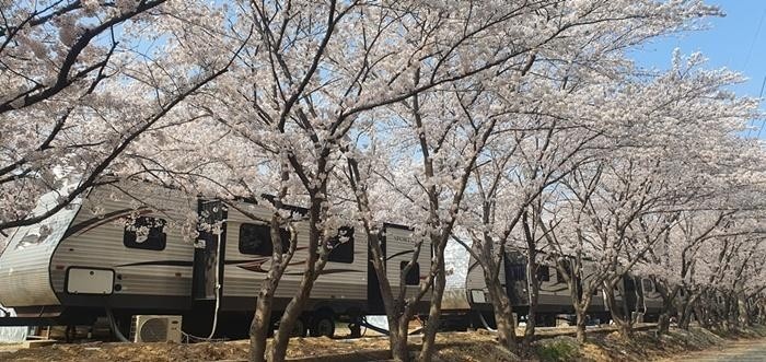 우리 캠핑 왔어요 엄마의 소원을 이뤄주는 포항 모녀 캠핑 수제비 맛집, 캠핑요리 가리비 구이 파는 곳, 패러글라이딩 체험, 전망대, 캠핑장 가볼만한 곳 추천
