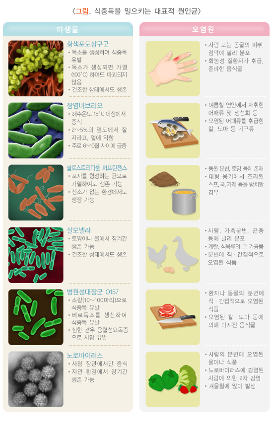 식중독 원인 및 증상