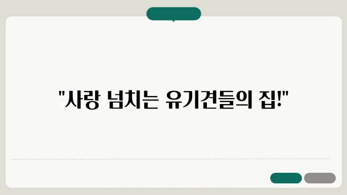 입양 행사 사진