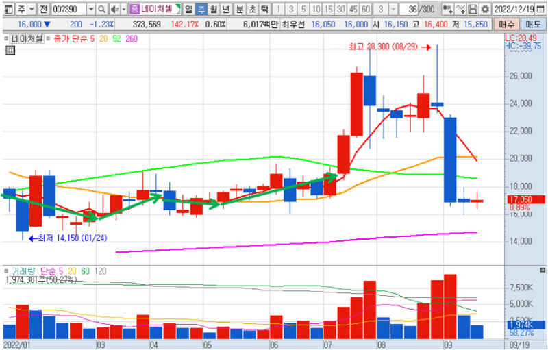네이처셀 2022주봉 차트