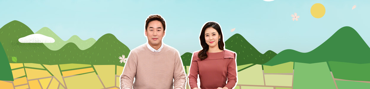 6시 내고향 3월 28일 레시피