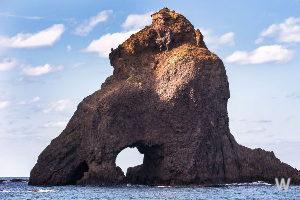 독도는 대한민국 영토 7