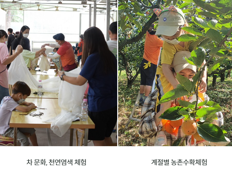 포항 아이들 체험