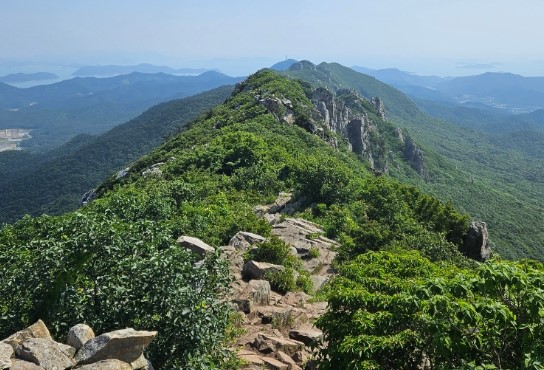 달마산