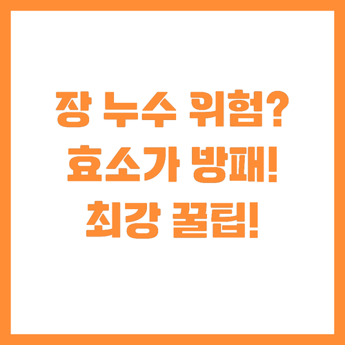 장 누수증후군 Leaky Gut 예방..