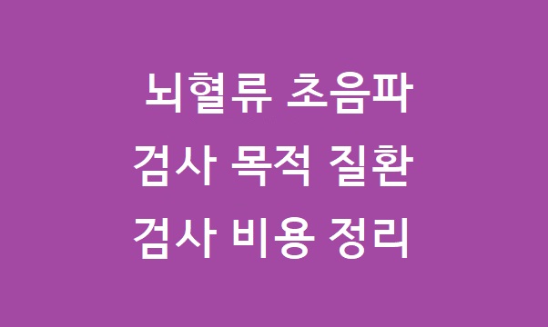 뇌혈류 초음파