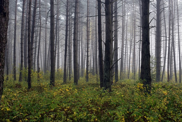 좋은사람들 예약홈페이지