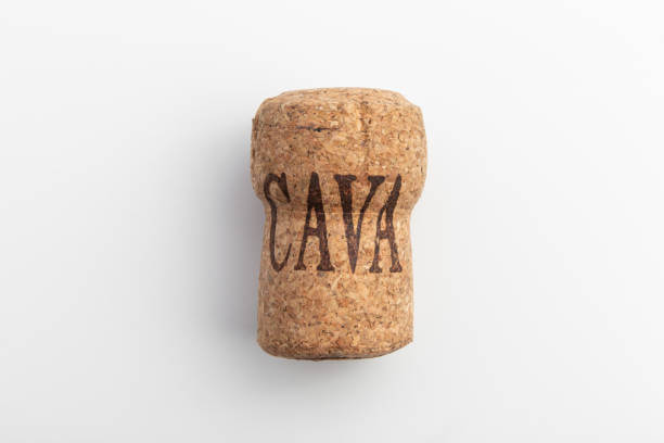 조개구이 &amp; 까바(Cava) 와인 페어링｜바다의 순수함과 지중해 버블의 입맞춤