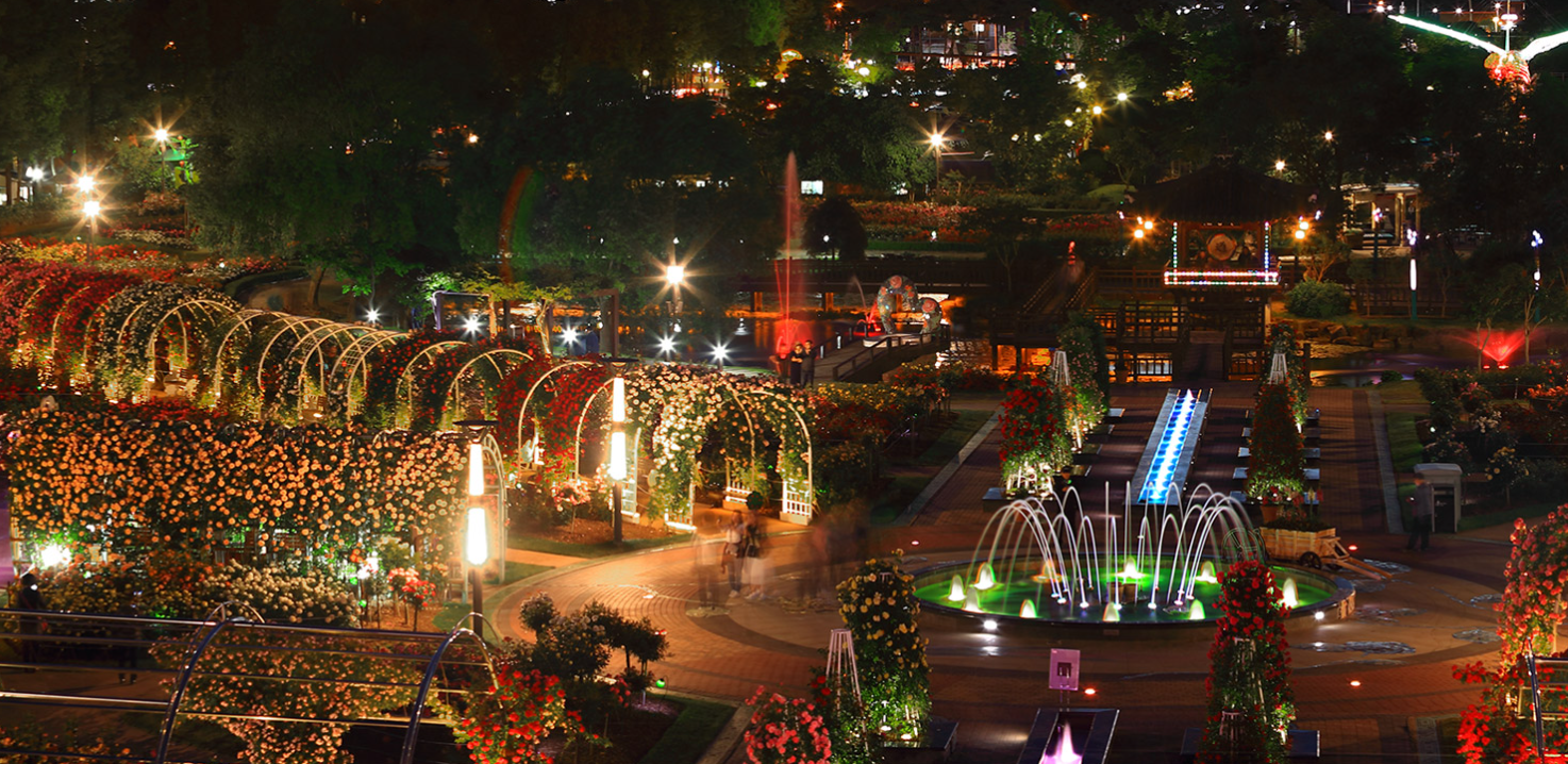 곡성장미축제 기간