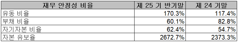 텔레칩스 - 재무 안정성 비율