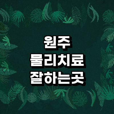 원주시 정형외과