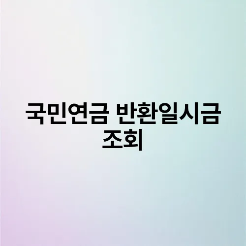 국민연금 반환일시금 조회