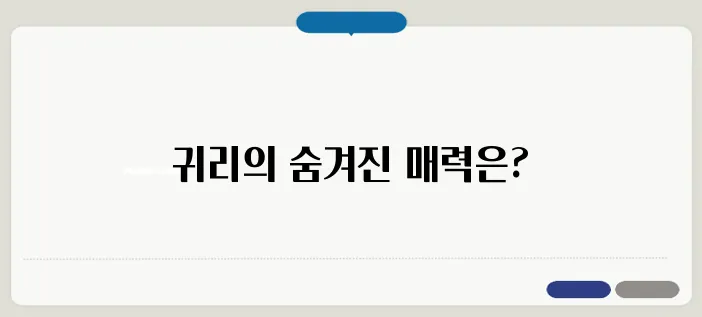 귀리 효능과 먹는법 다이어트에 좋은 이유