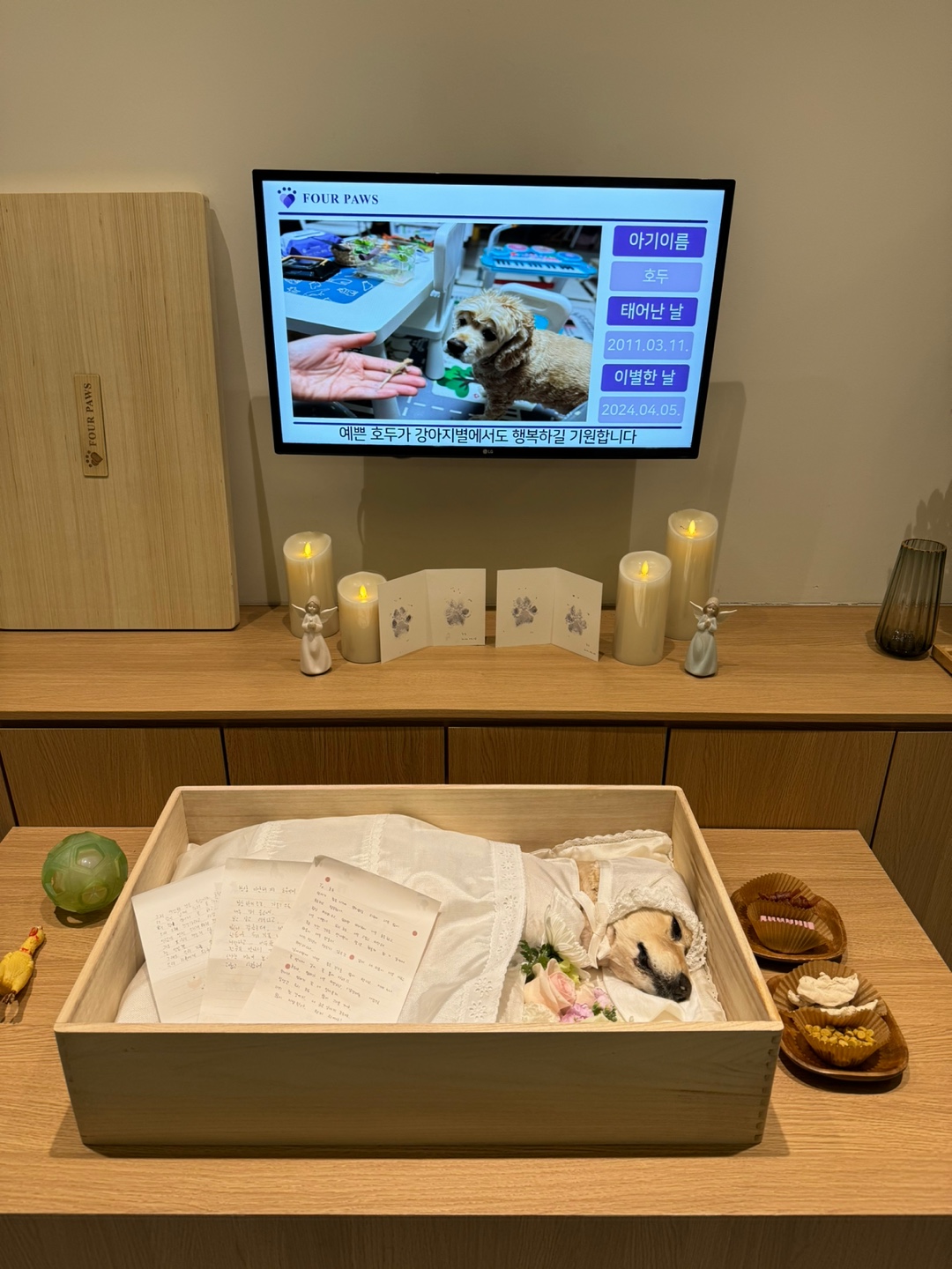 반려견 호두의 마지막 장례모습