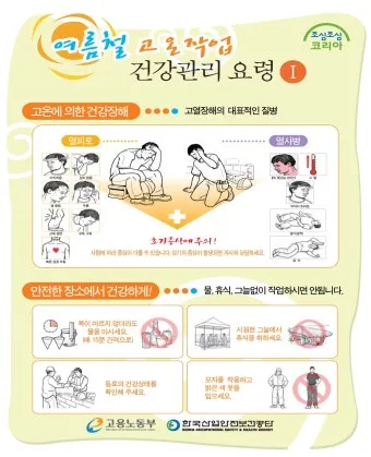 여름 고온기 관리 차광망 환기 관수 병해 예방 루틴_2