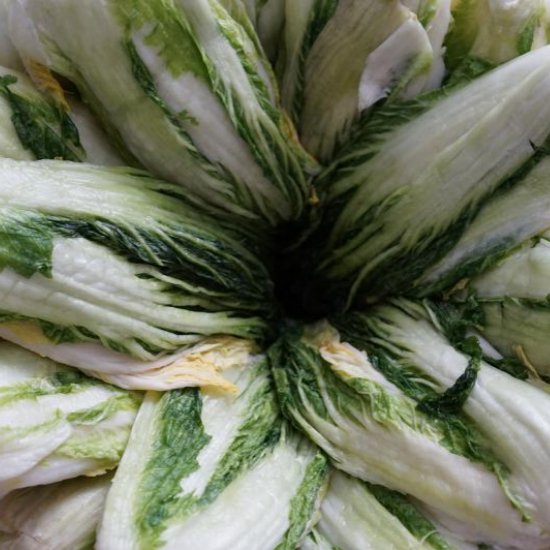 이마트 절임배추 사전예약 20kg 가격 할인 혜택3