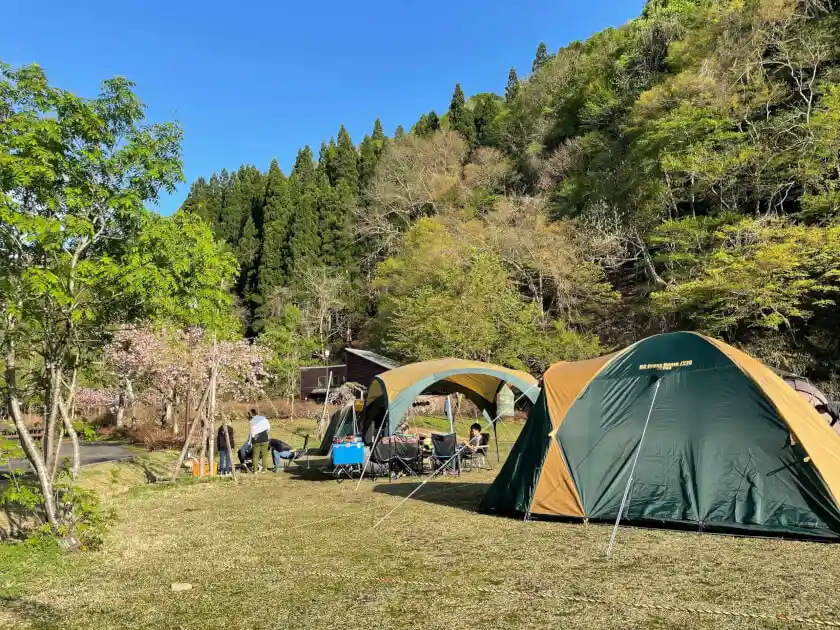 돗토리 연못 녹지・벚꽃의 정원
