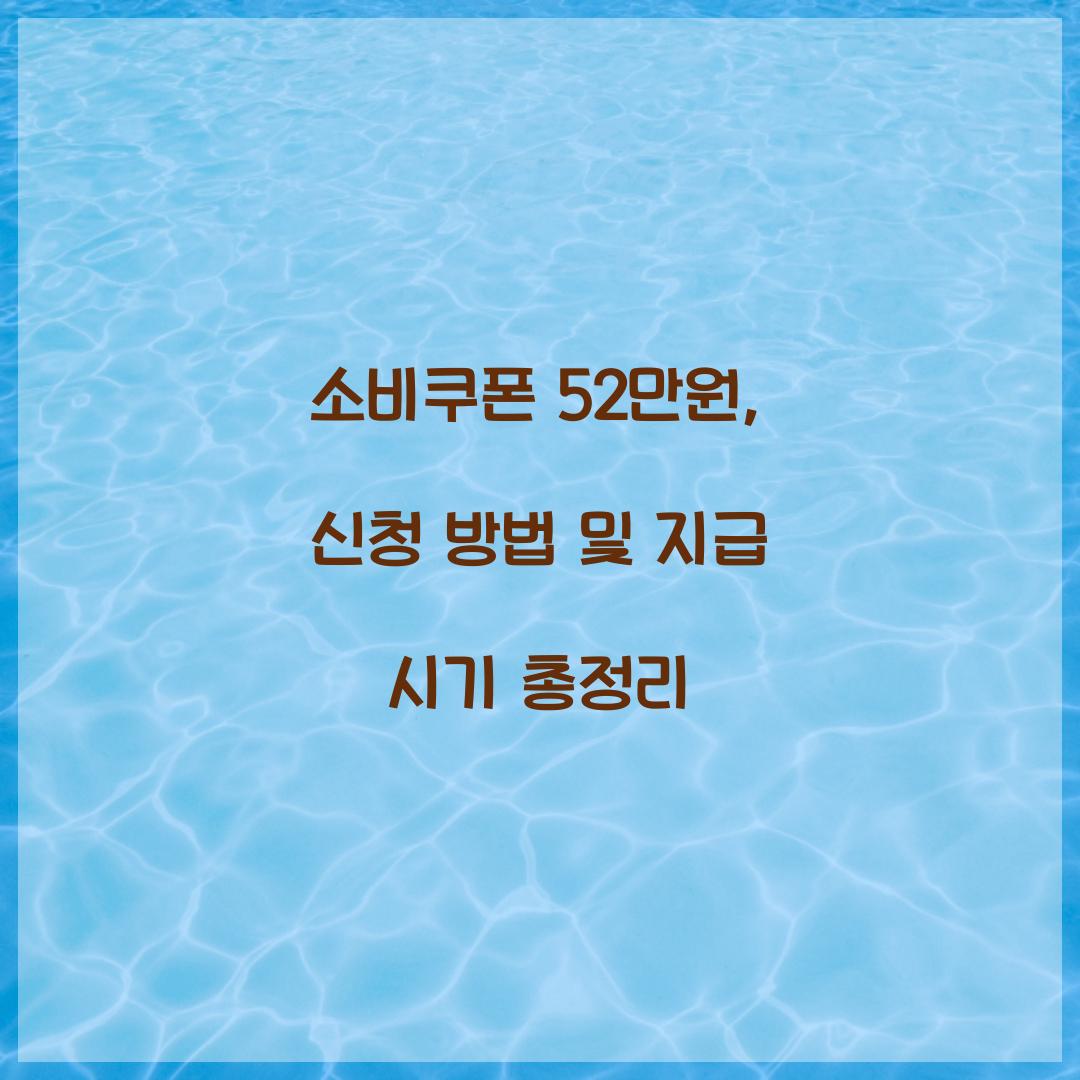 소비쿠폰 52만원
