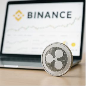 Xaman Wallet, Xumm Wallet