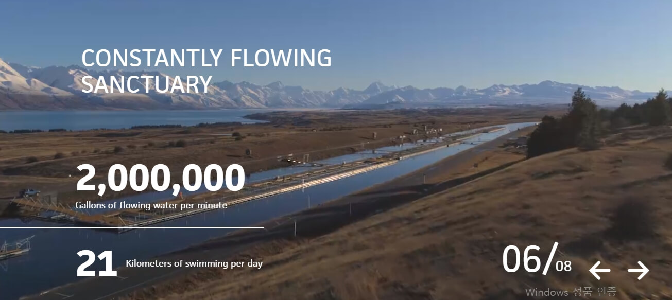 연어양식장 alpinesalmon.co.nz