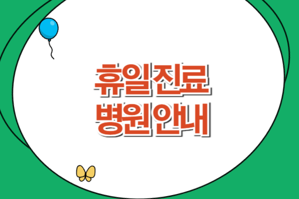 휴일 진료병원 안내