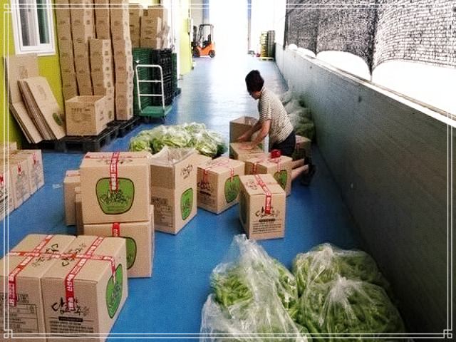 휴먼다큐 사노라면 592회 혈당 조절, 당뇨 잡는 모악산 당조고추 전국 온라인 택배 주문, 열혈 고추 엄마의 딸 부부 길들이기 사연 방송 정보 다시보기