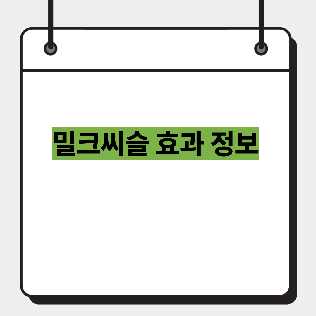 밀크씨슬 효과 정보 1