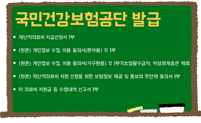 재난적의료비지원 국민