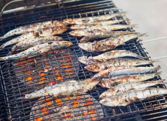 생생정보 생생현장 안동집 기장 대변항 맛집 멸치쌈밥맛집 2025기장멸치축제
