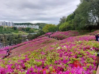군포 가볼만한곳 베스트10 현지인 추천 필수코스_7