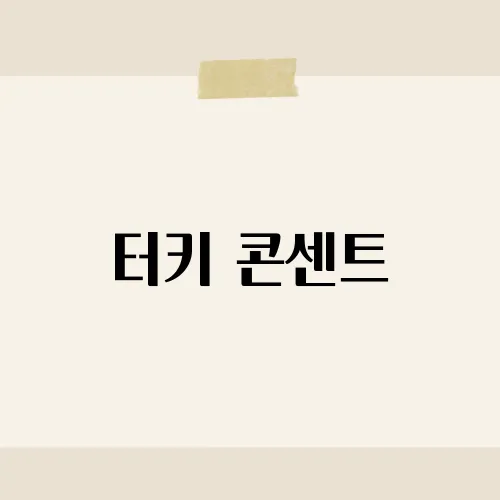 터키 콘센트, 돼지코 챙길 필요 없다?