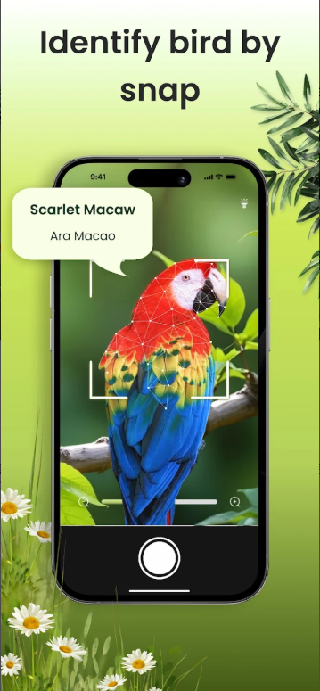 새 이름 찾기 앱, 핸드폰 사진으로 조류 이름 검색, 조류 도감 보기