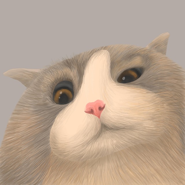 고양이의 사회성 회복 프로젝트