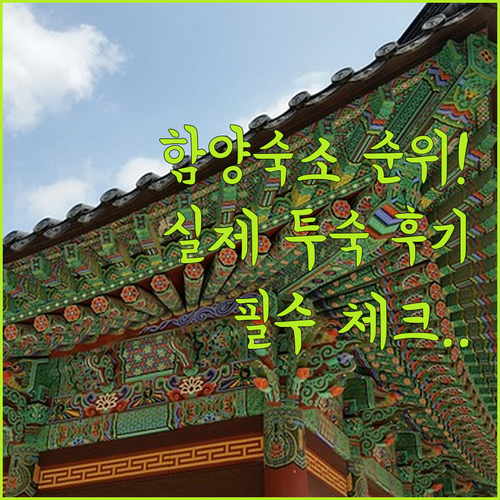 함양 여행 숙소 예약 순위별 장점과 ..