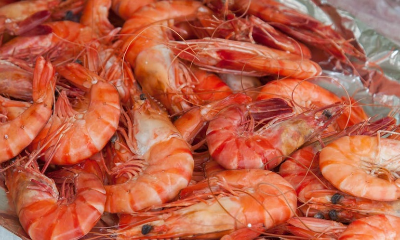 대하 소금구이 방법